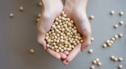 大豆珈琲 yoi ドリップパック